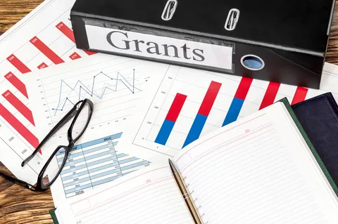 Apply for the UK Government Business Grants 2024