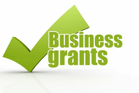 Nano Business Grants by Federal Government of Nigeria